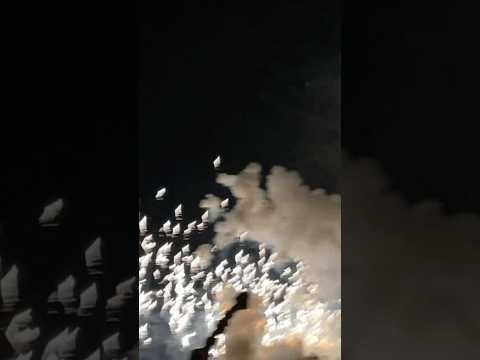 INSANE Salute Shell Fireworks Finally in Valencia during Las Fallas!