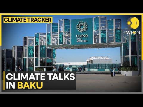 COP29 In Baku: Nations Approve New UN Rules On Carbon Markets At COP29 | WION Climate Tracker