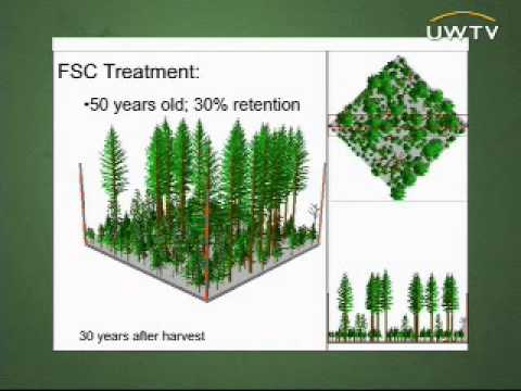 The Future of Forestry: Future Forest Management in the Pacific Northwest