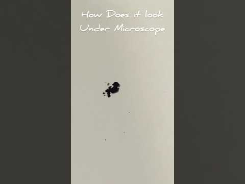 Carbon NanoTube under Microscope #short #science #scientific #electronmicroscope #shorts #trending